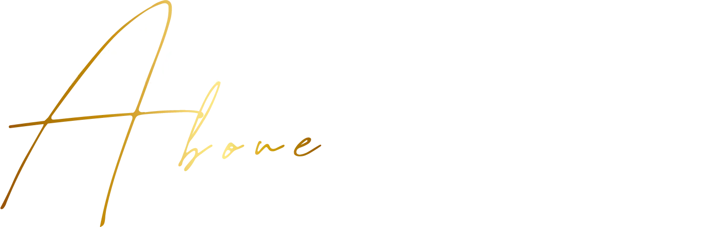 Salon de CEOについて